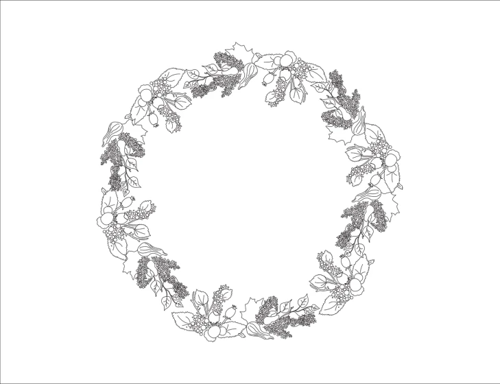 a black and white drawing of a wreath of grapes, a digital rendering, colouring - in sheet, autumn season, jewelry design, whole page illustration