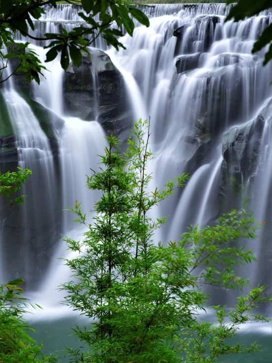 a waterfall in the middle of a lush green forest, a picture, pixabay contest winner, romanticism, hemlocks, jungles of vietnam beautiful, medium close-up shot, hd wallpaper