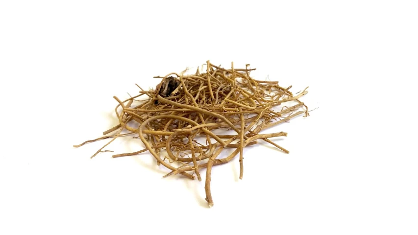 a pile of hay sitting on top of a white surface, roots and thorns, 14k gold wire, nest of vipers, high quality product image”