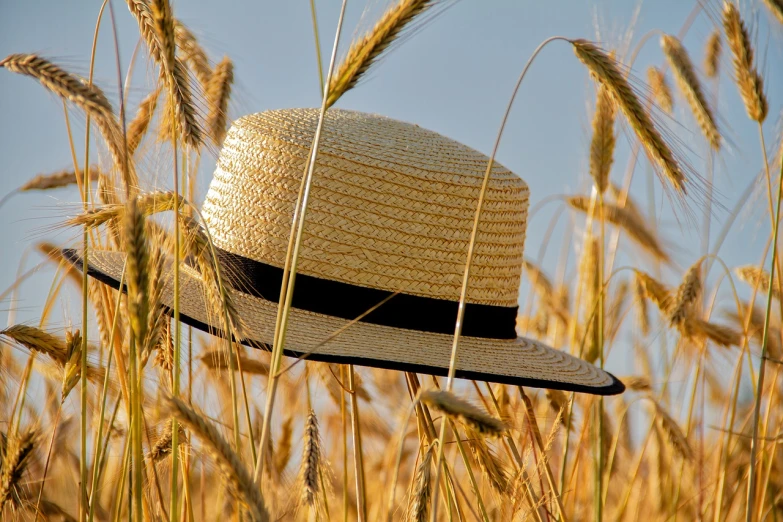 a straw hat in the middle of a field of wheat, precisionism, modern very sharp photo