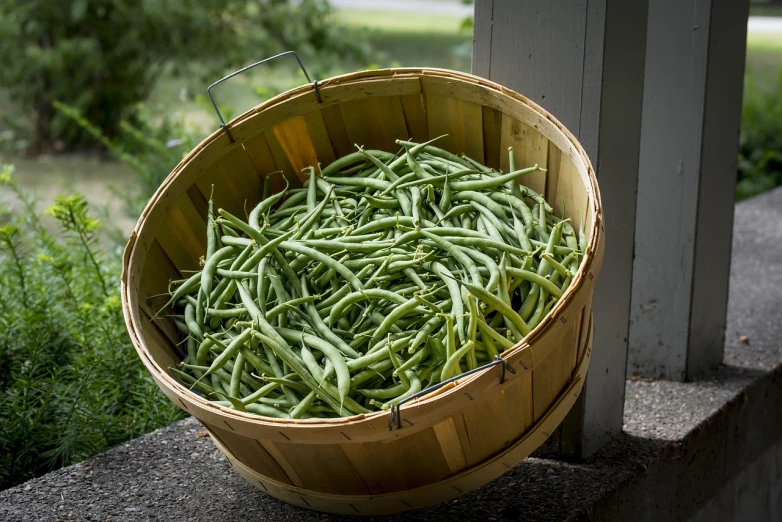 a basket full of green beans sitting on a porch, pixabay, greg hildebrant, fitness, bowl, straw