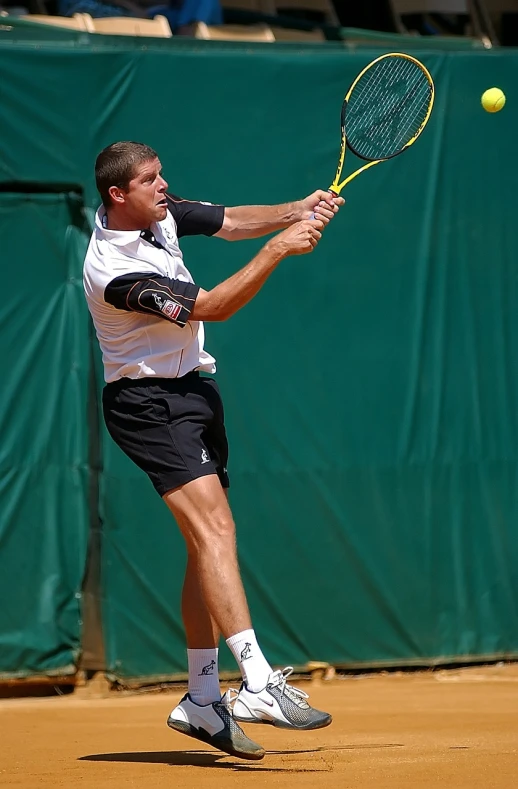 a man swinging a tennis racket at a tennis ball, a photo, in shorts, pranckevicius, sweaty, luka mivsek