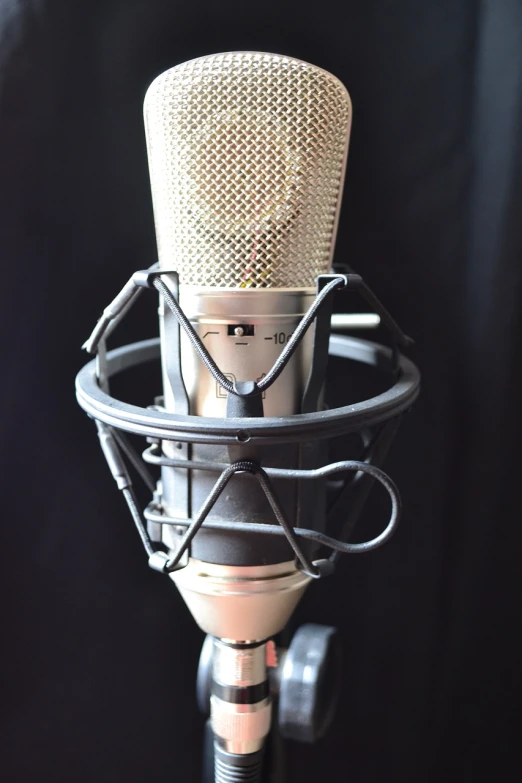 a close up of a microphone on a stand, by Tom Carapic, pixabay, in a studio hollow, featuring rhodium wires, vocal tract model, close up portrait photo