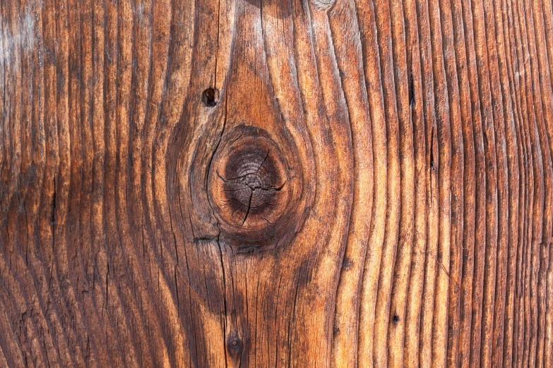 the grained surface of the wood shows brown spots