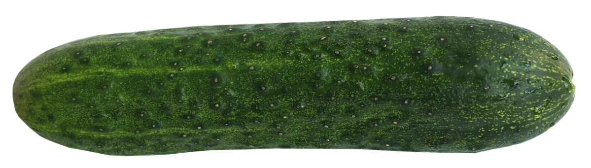 a close up of a cucumber on a black background, a digital rendering, by Gusukuma Seihō, sōsaku hanga, stereogram, f / 1 6, 2 5 6 x 2 5 6, long