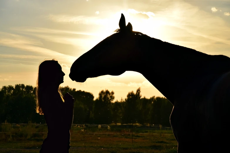 a woman is facing a horse on the head with it's horns curled