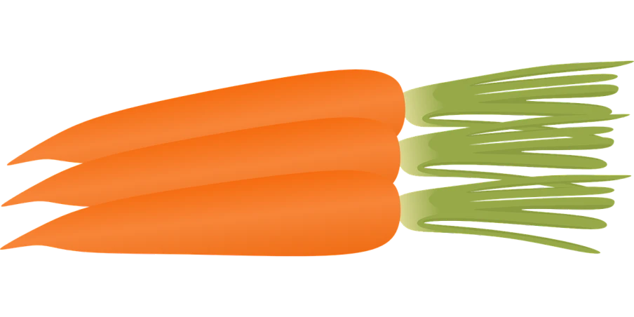 a red carrot with a green stalk