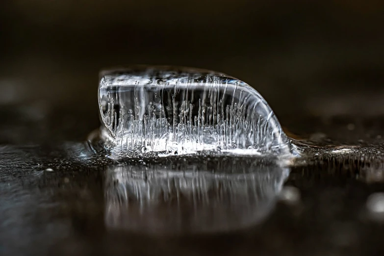 a plastic bottle is partially submerged in water