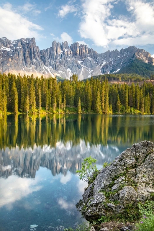 lake surrounded by trees in front of mountain