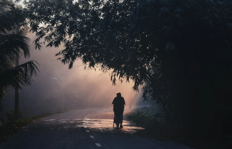 a lone person walking in the middle of a forest