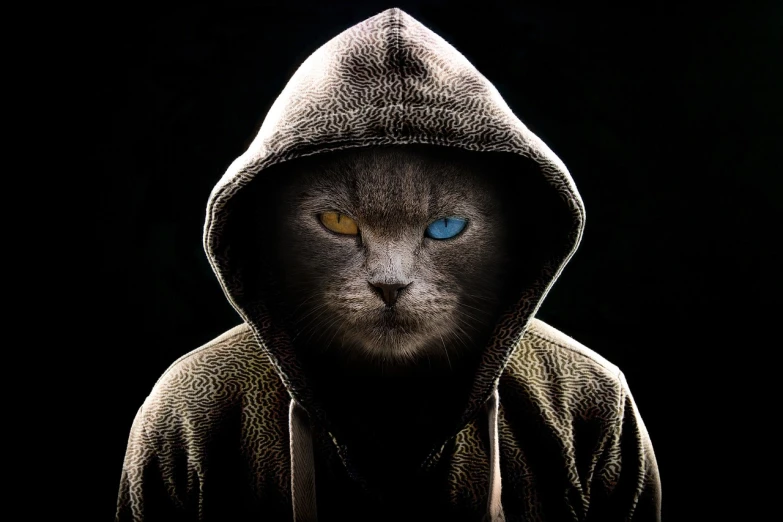 the cat is very dark, and its glowing blue eyes