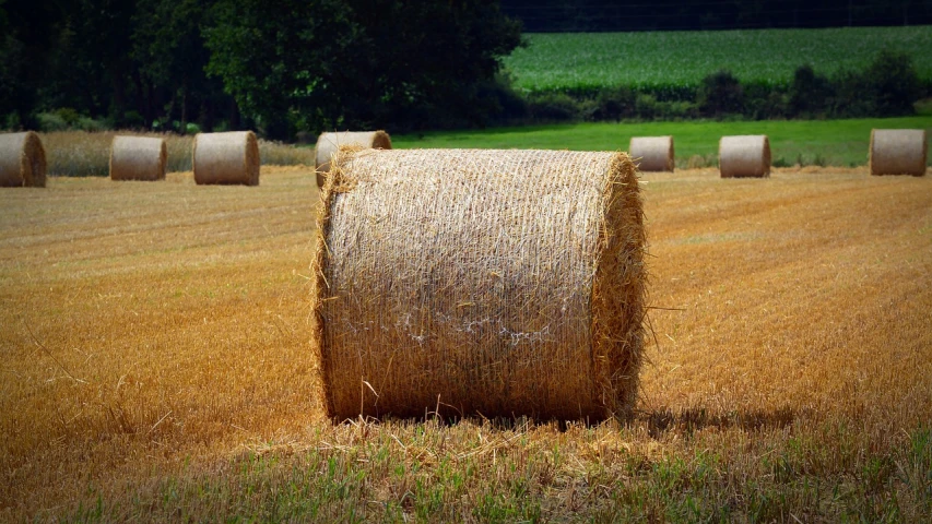 a pile of hay in a grassy field