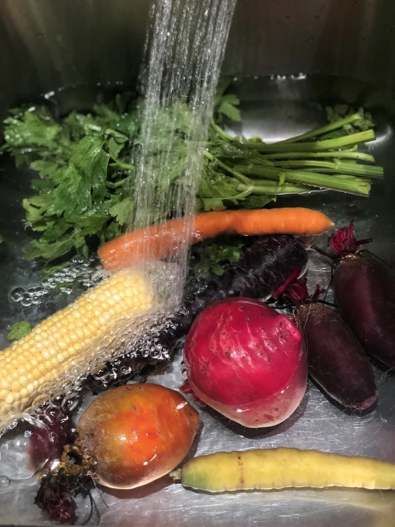 vegetables are sitting on a stainless steel sink