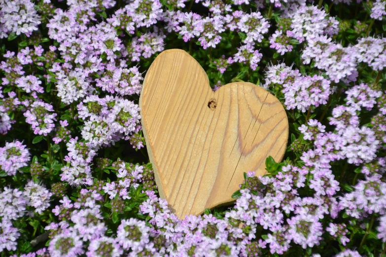 a wooden heart on top of purple flowers