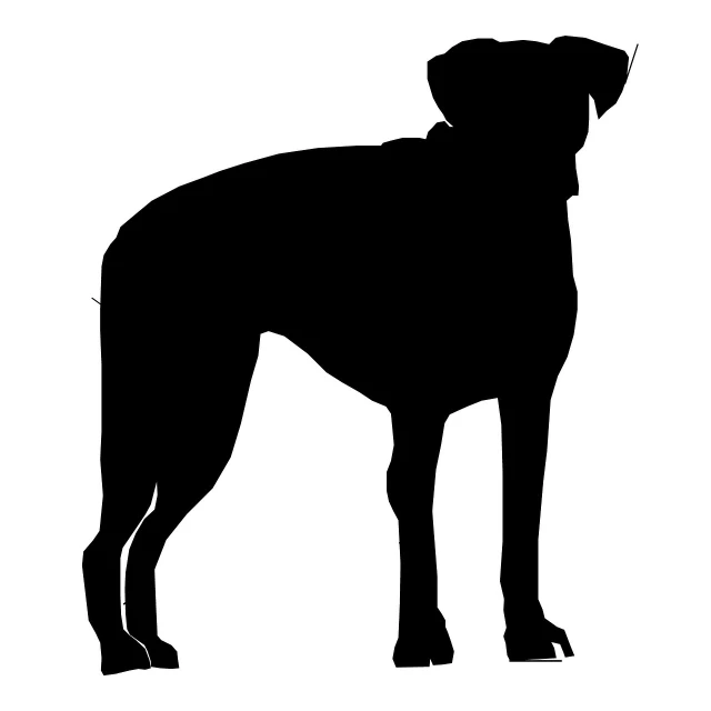 a dog silhouette in black on white