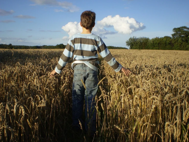 a boy is walking through a wheat field