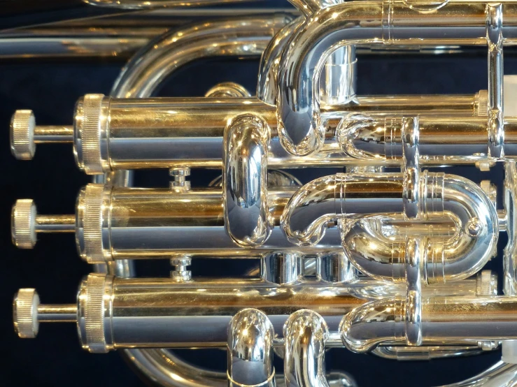 the keys and sides of an instrument are seen