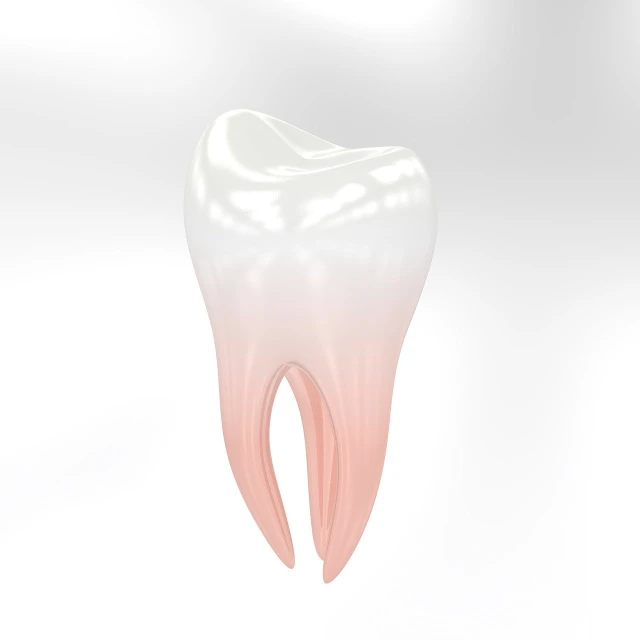 an illustration of a tooth with white gums