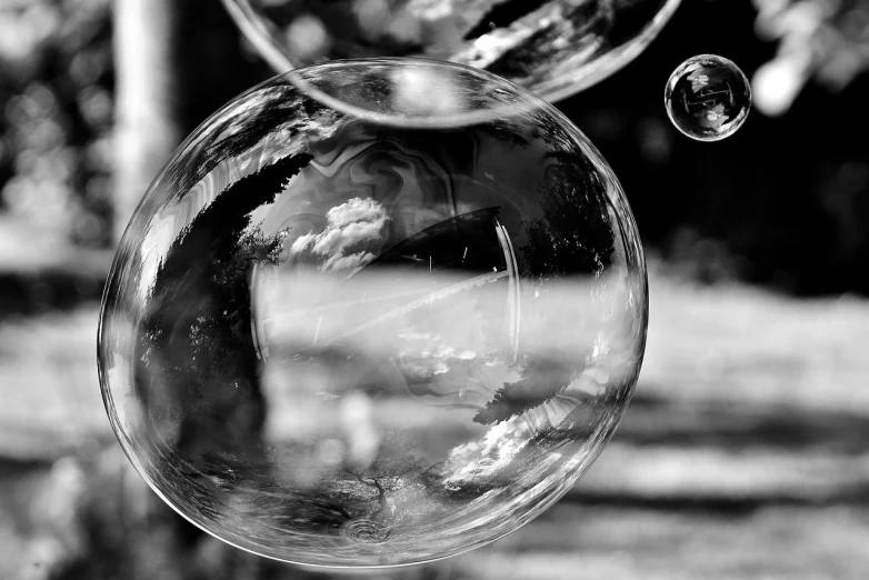 a bubble hanging from a tree with trees in the background