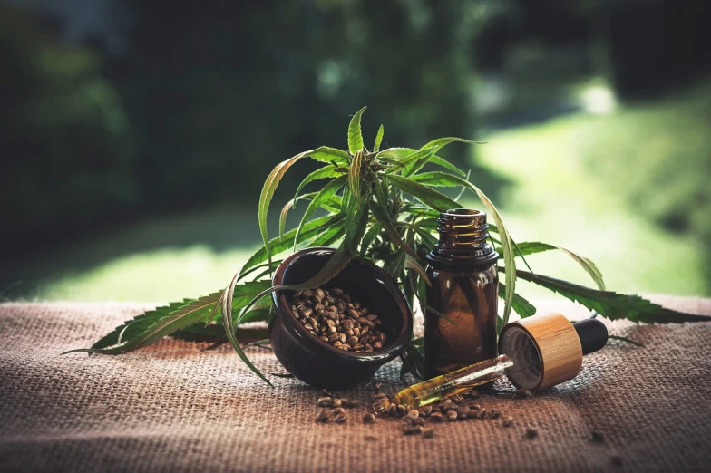 a marijuana plant with bottles containing its essentials