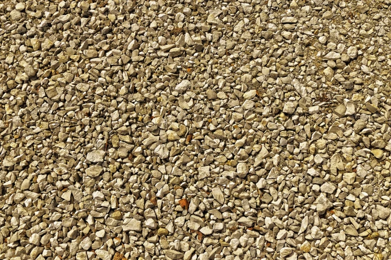 a patch of rocks on the ground