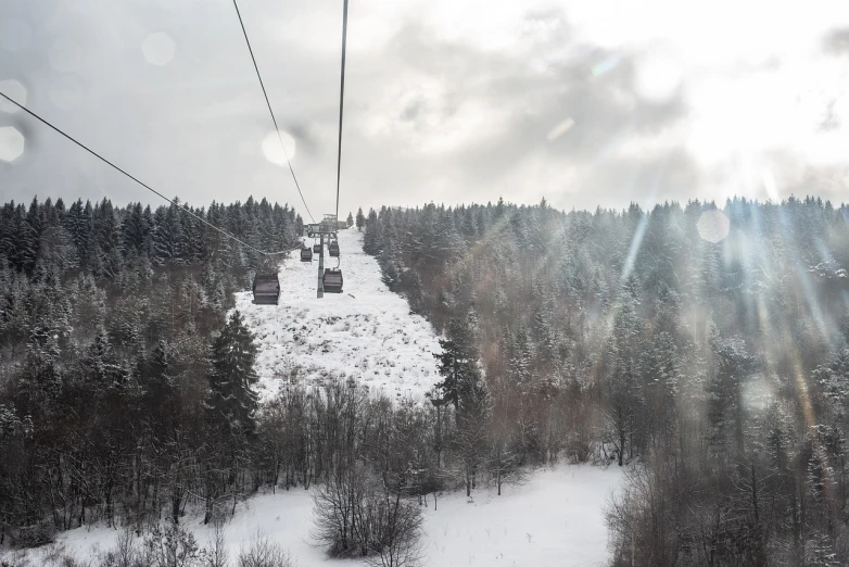 a ski lift that is next to some trees