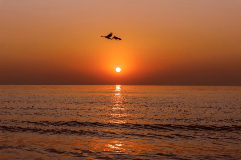 the bird is flying across the large body of water