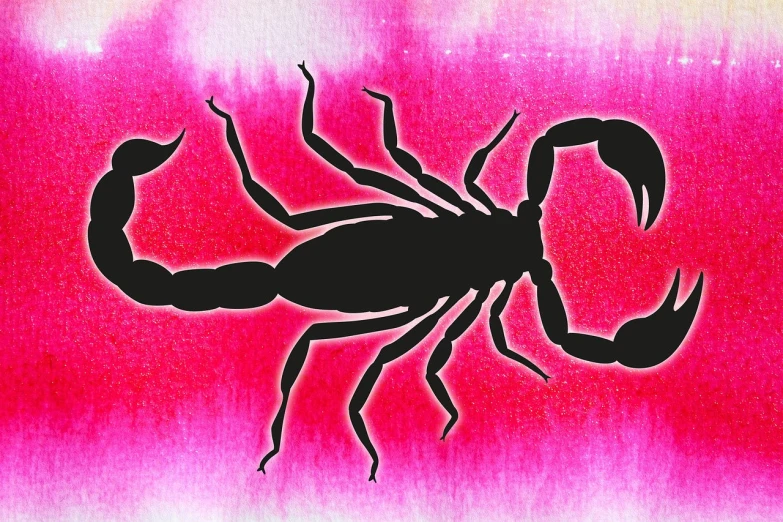 an image of a black scorpion on pink and red