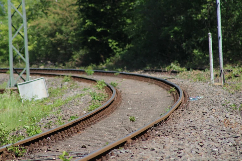 railroad tracks, two on one each side in front of trees