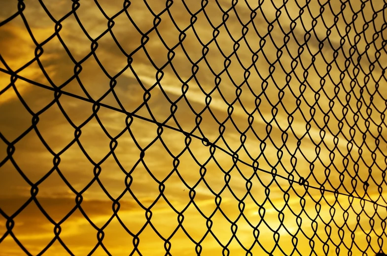a bird is sitting on the top of a chain link fence