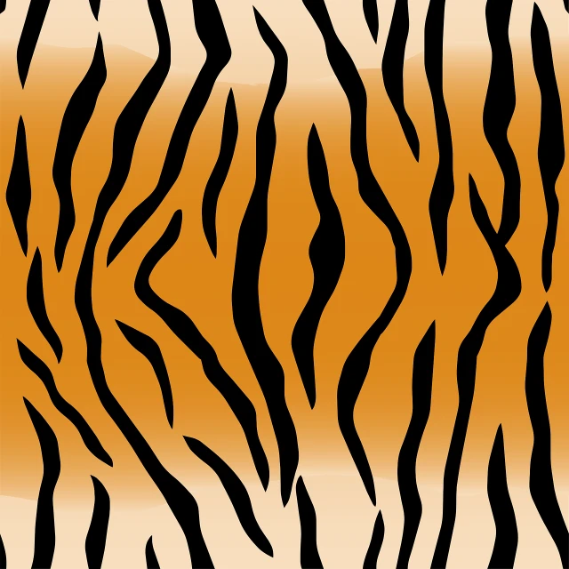 a tiger striped background with an orange stripe