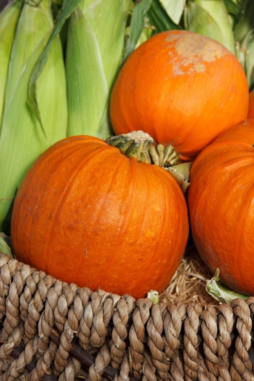 a basket filled with vegetables including carrots and an onion