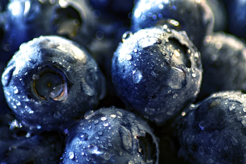 closeup view of fresh blueberries with water drops