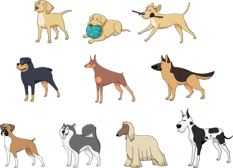 a drawing of nine different dog breeds