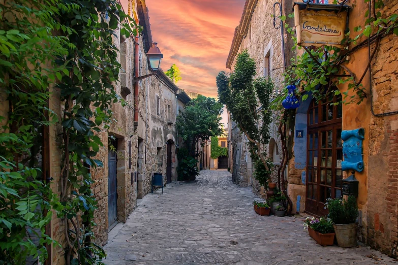 a quiet cobblestone street with vines growing on it