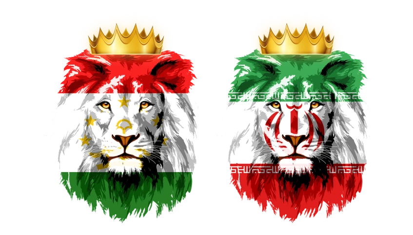 two lion heads with different colors of them