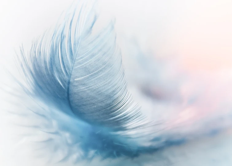 a close up of blue feathers that are blurred in the air