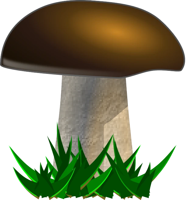 an illustration of a mushroom, which is slightly out of view
