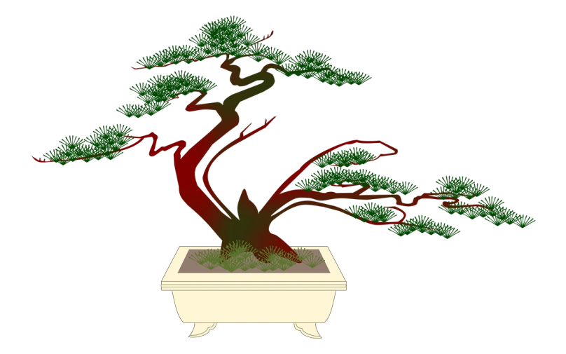 this is an image of a bonsai in a pot