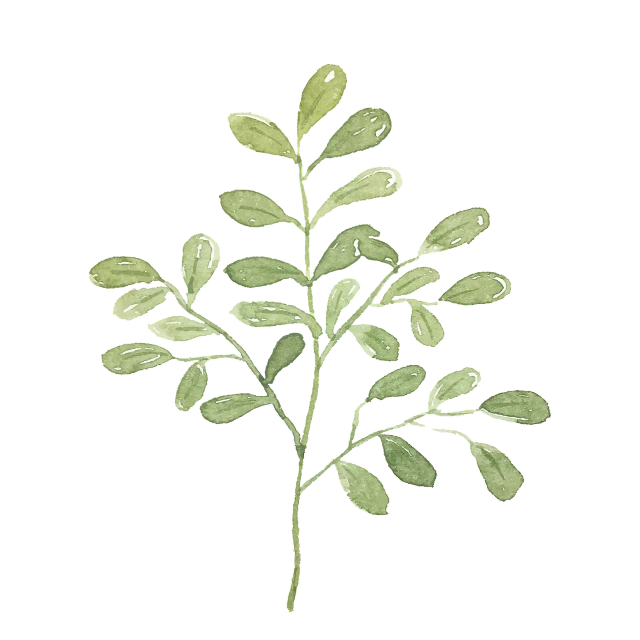 a simple, simple, white, plant with leaves growing