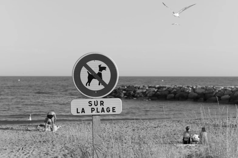 a black and white po of people on a beach, birds flying overhead and an ocean behind