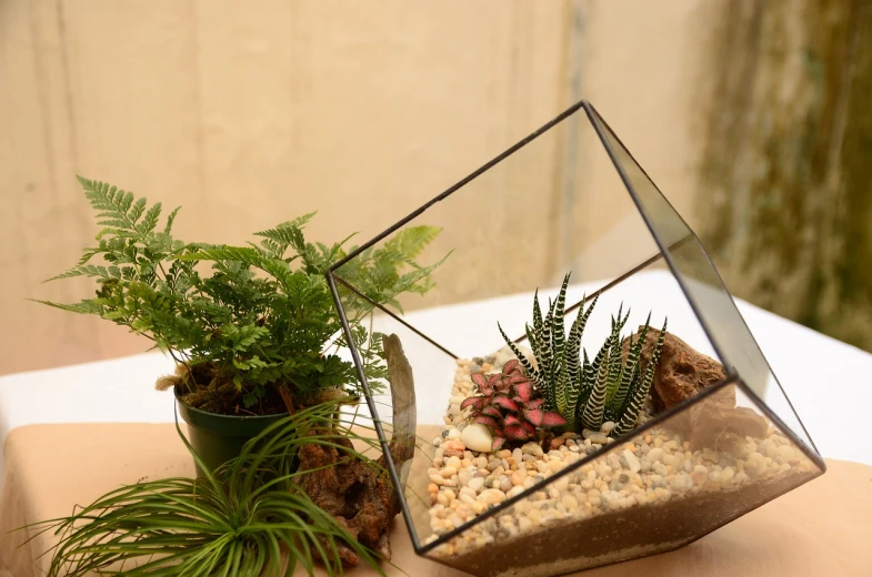 a glass planter and a plant sitting next to each other on a table