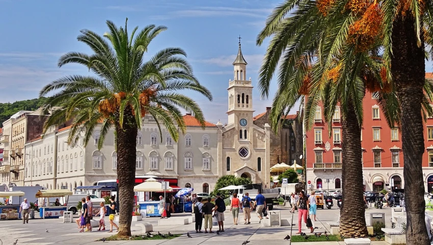 a view of the streets and palm trees in a city