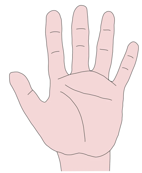 a hand is shown with the palm and fingers raised