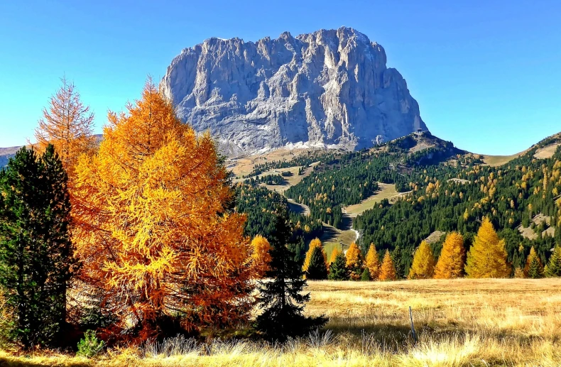 a scenic mountain scenery with colorful autumn trees