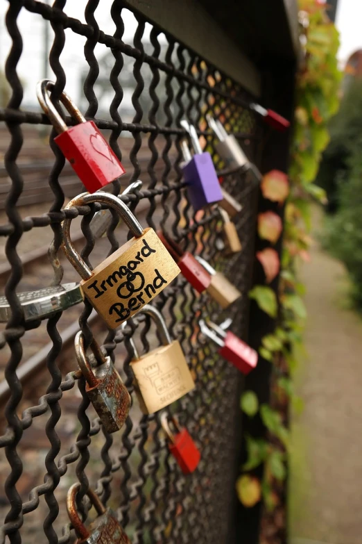 some padlocks attached to a fence with many locks