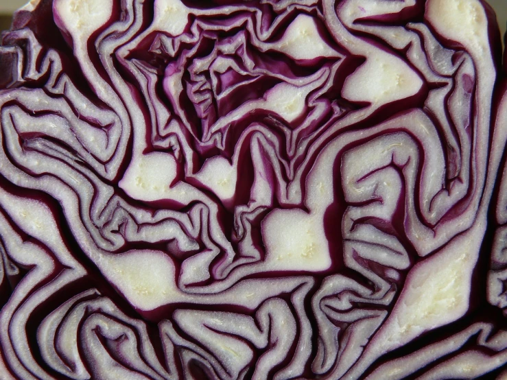 purple swirled food is shown in close up