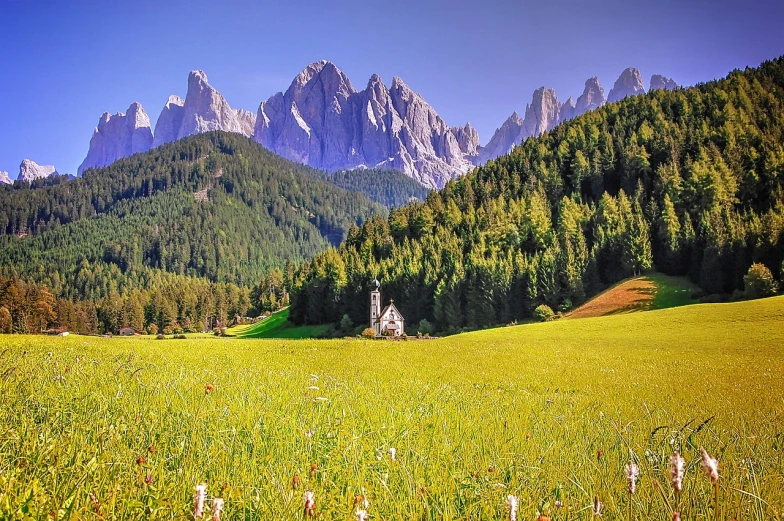 a lush green field surrounded by tall mountains