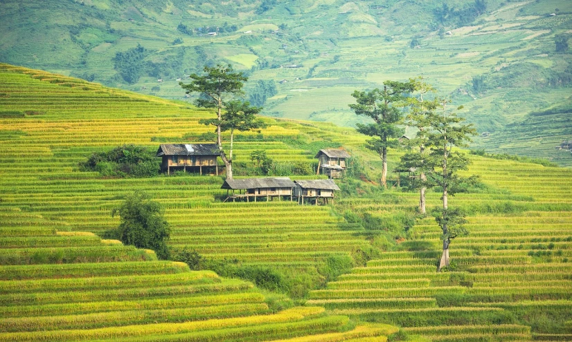 a field with an old hut and trees on it