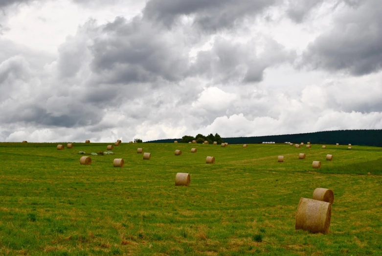 hay bales line a large field under a cloudy sky